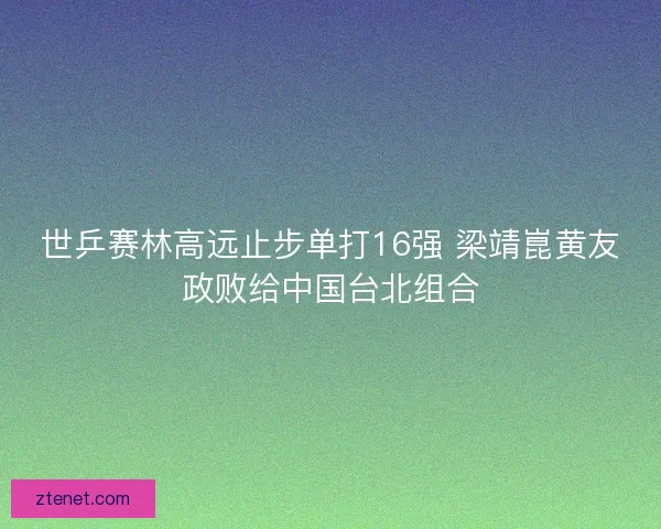 世乒赛林高远止步单打16强 梁靖崑黄友政败给中国台北组合